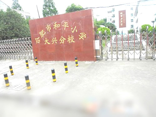 廣州合肥市和平小學(xué)大興分校